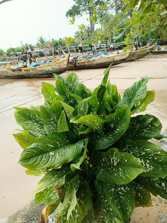 Scorpion Hill Lodge Busua Екстер'єр фото