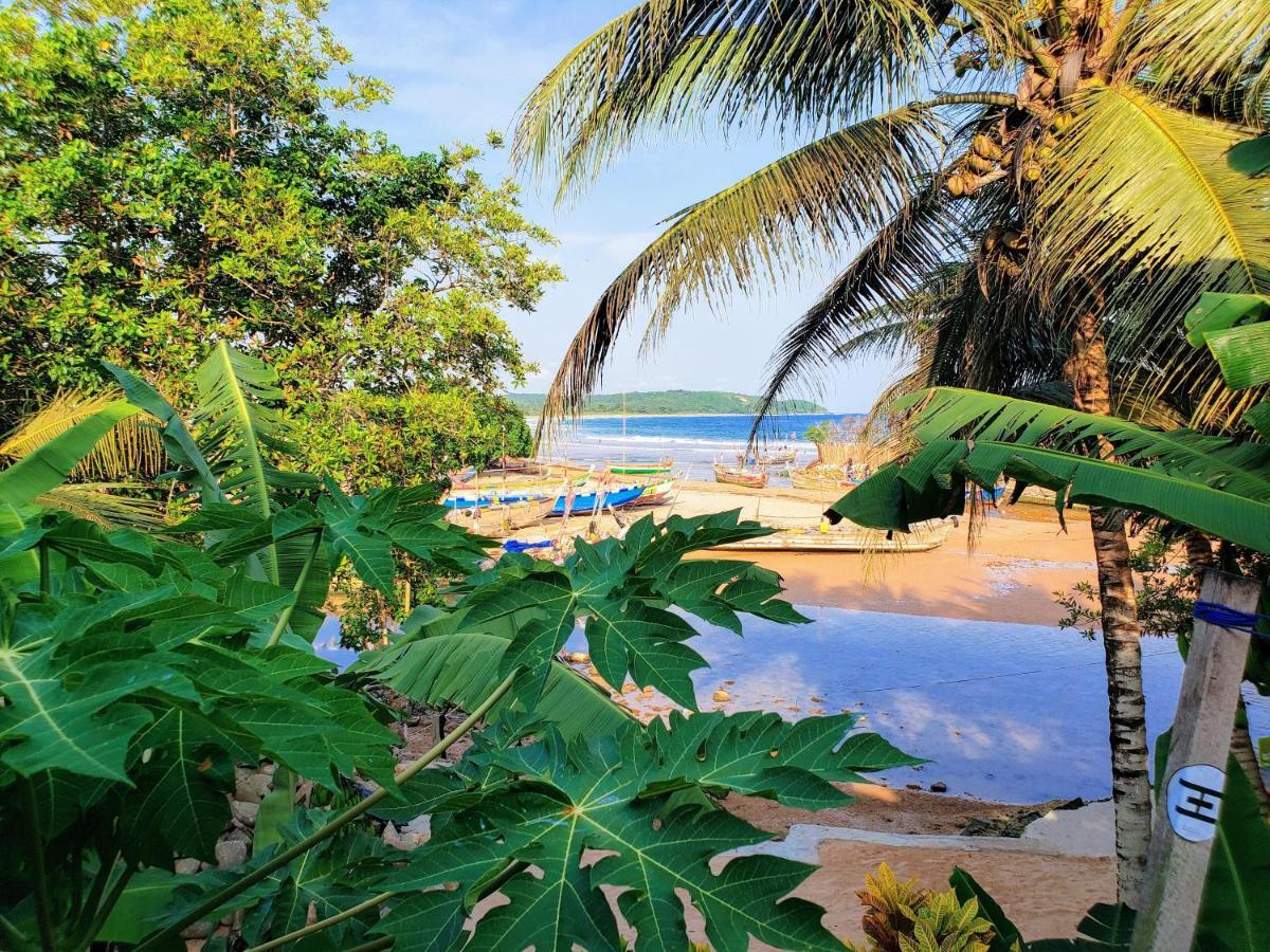 Scorpion Hill Lodge Busua Екстер'єр фото